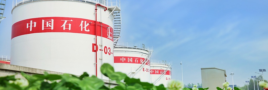 中國石化 中國石化